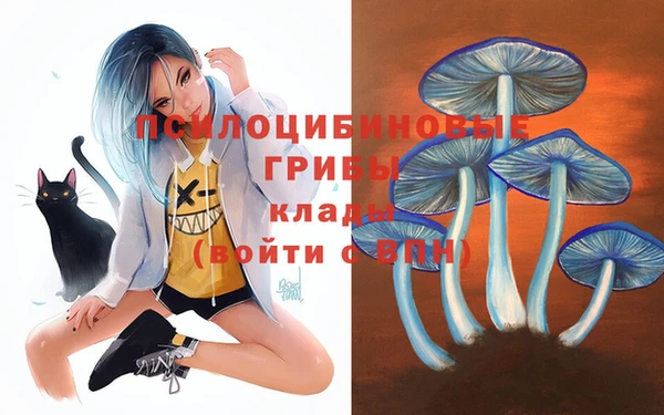 первитин Новокубанск