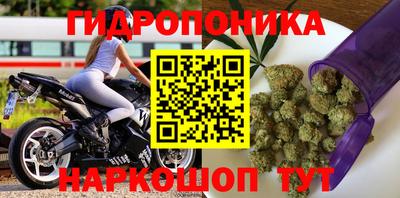 молекула духа Жуковский
