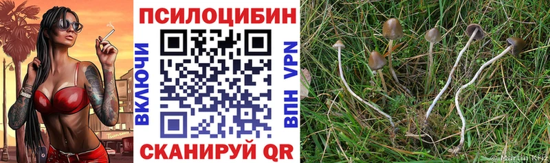 blacksprut   хочу наркоту  Кудымкар  Галлюциногенные грибы мицелий 