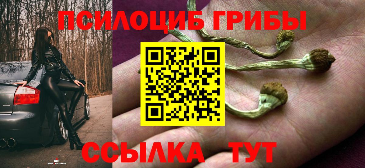 Галлюциногенные грибы мицелий  Галлюциногенные грибы ЛСД  Вход с VPN  купить  сайты  Кудымкар 