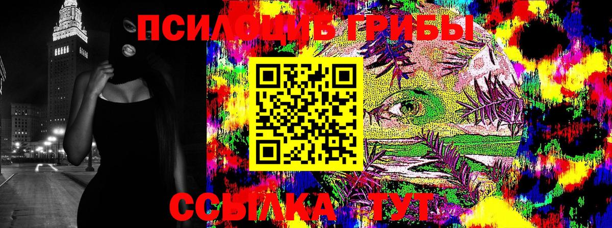 что такое   Кудымкар  Псилоцибиновые грибы MAGIC MUSHROOMS 